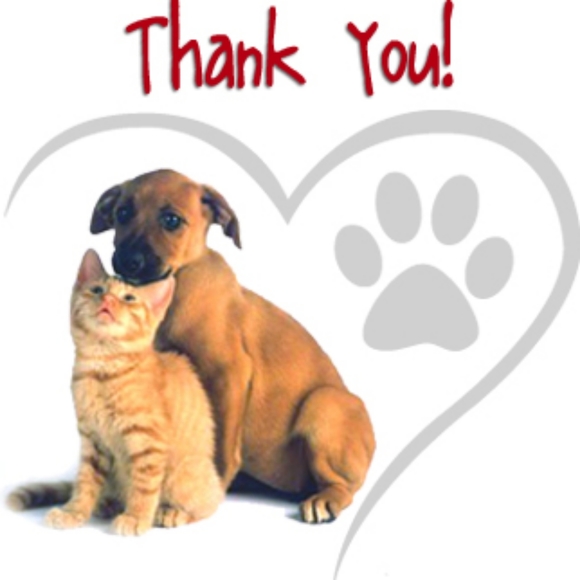 Meet your Animal Rescue Posher, Tammy - Picture 10 of 10